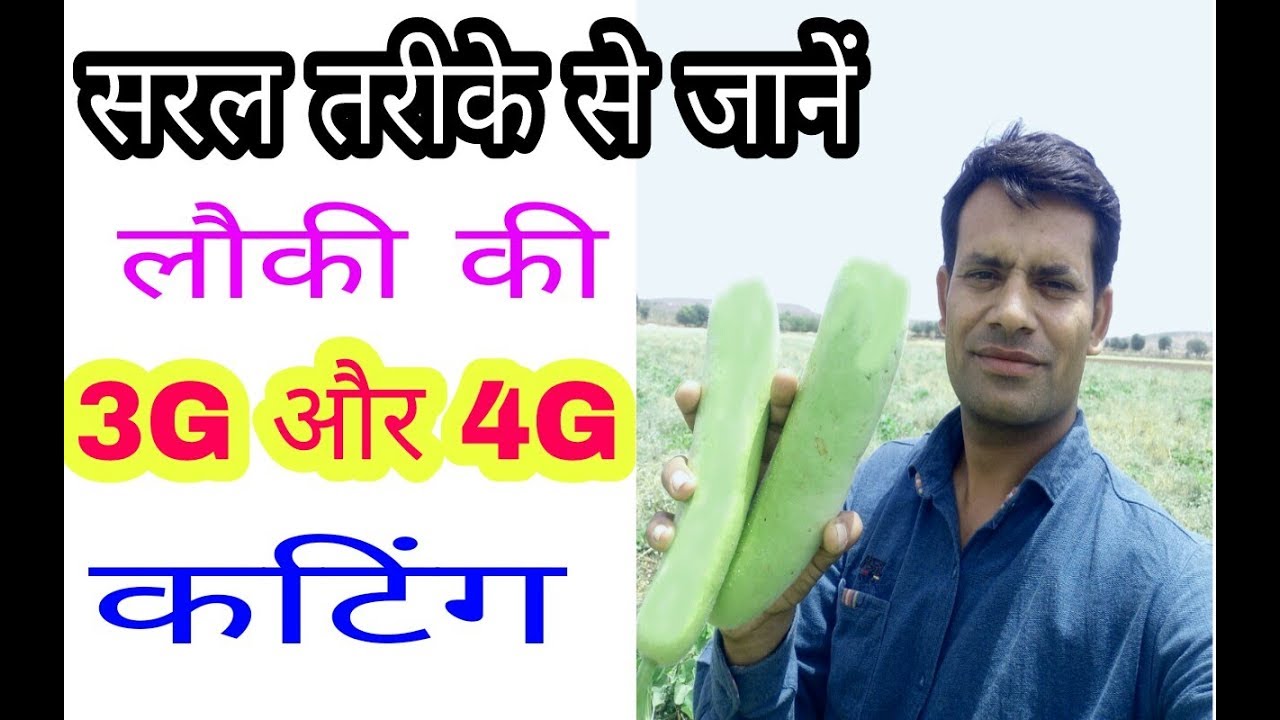 लौकी की 3G / 4G कटिंग का सबसे आसान तरीका | How to do 3G / 4G cutting in Bottle Gourd