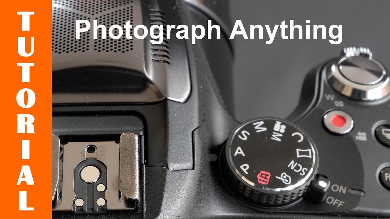 Как фотографировать что угодно (почти) с помощью FZ200/FZ1000