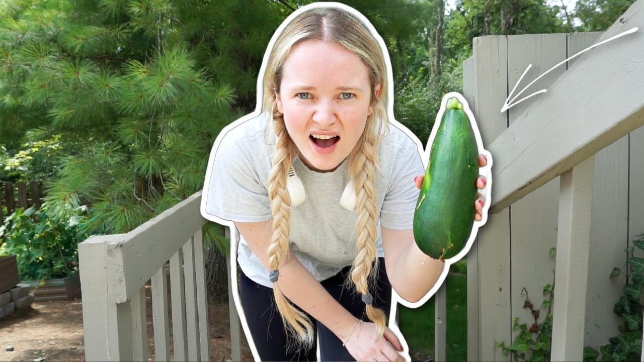 james and the giant zucchini