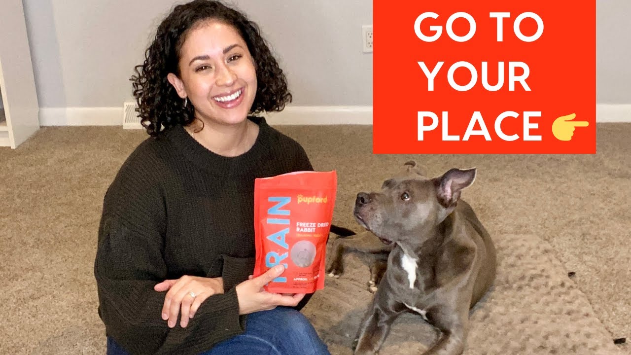 Teach Dog to Go to Place or Mat