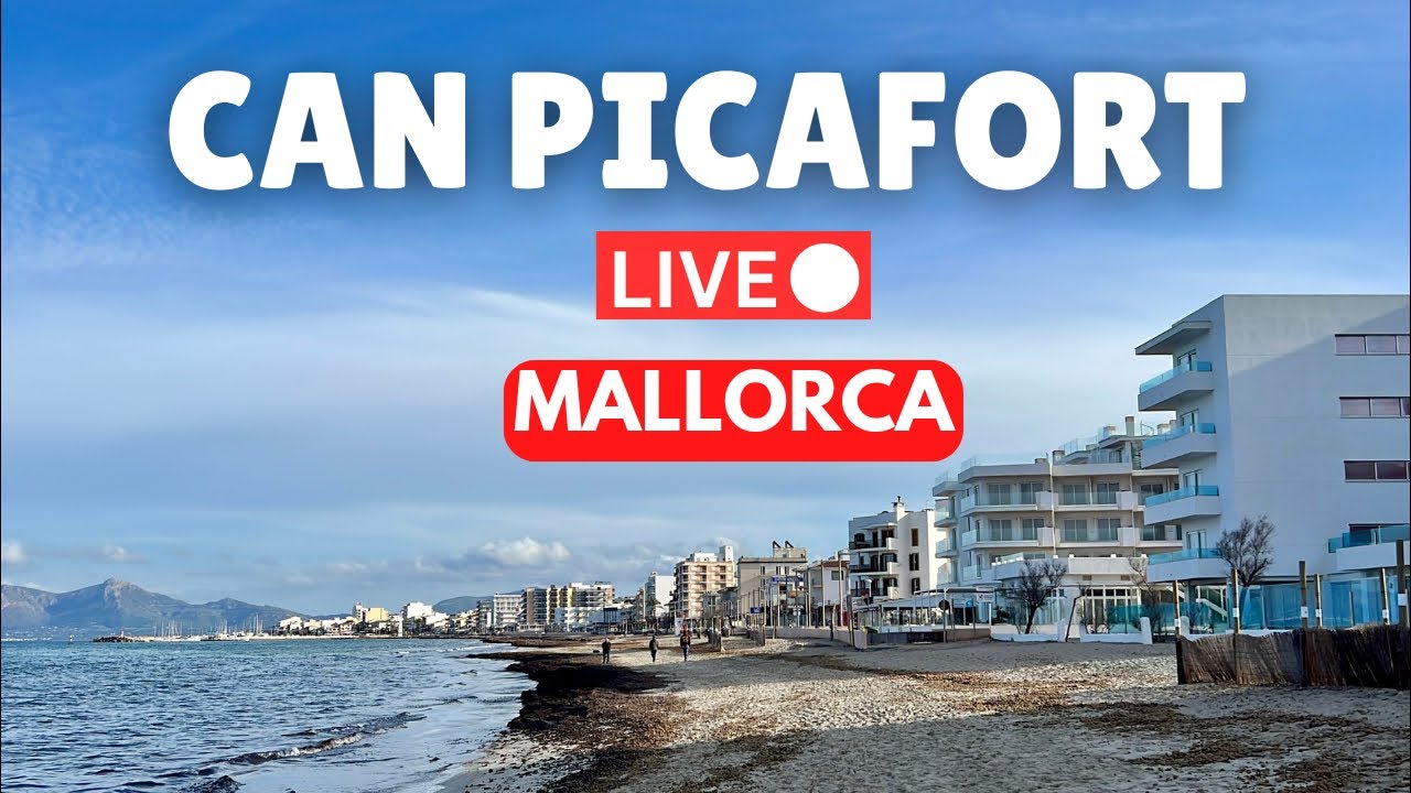 🔴 LIVE in Can Picafort, Mallorca  | 1 February 2026 (Spain)