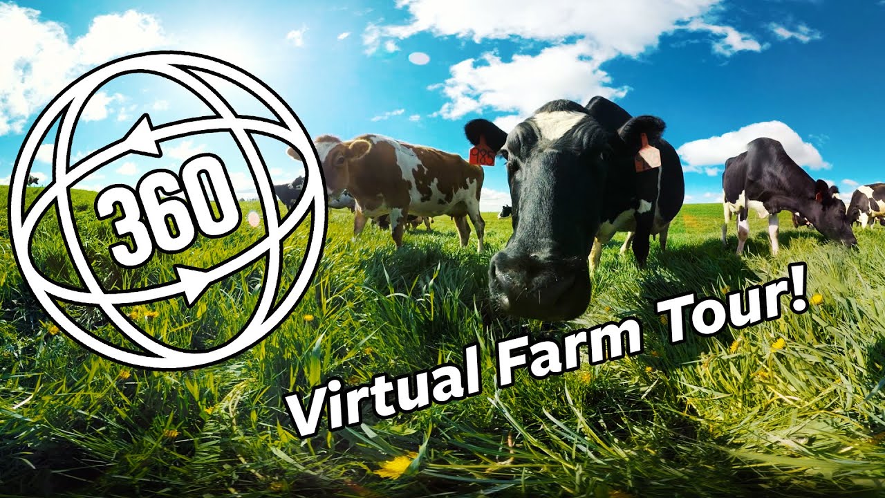 Virtual 360&deg; Farm Tour | Organic Valley 360&deg;