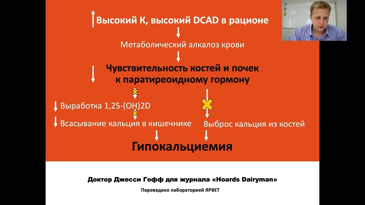 Вебинар от Hoard’s Dairyman на тему «Управление гипокальциемией в период отёла»
