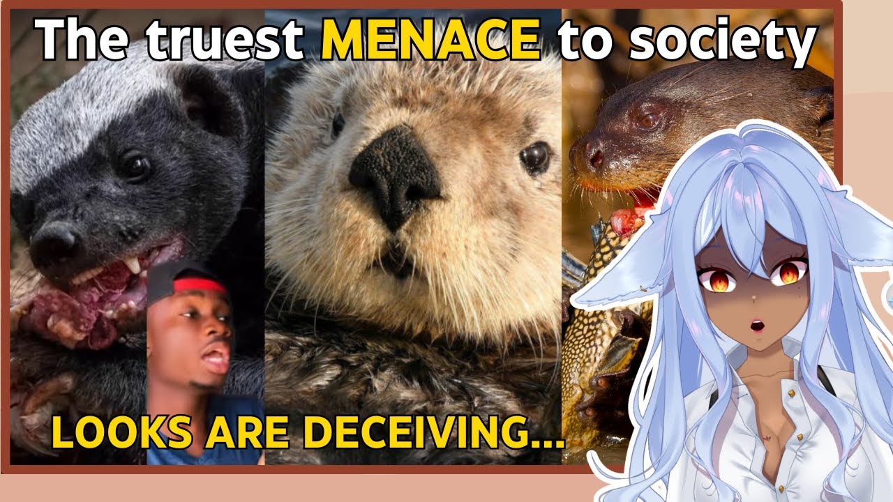 Vtuber Learns about Otters being a MENACE to society | Channie Reacts to Casual Geographic