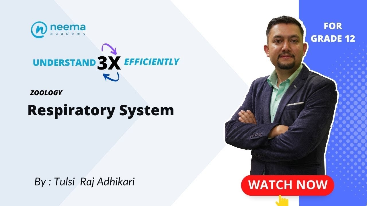 Respiratory System | Grade 12 | NEB