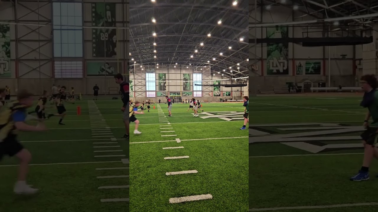 #ballhawk