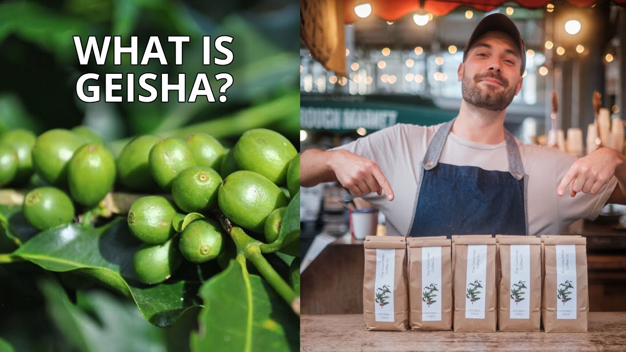 What Is Geisha? | The Goddess of All Coffees