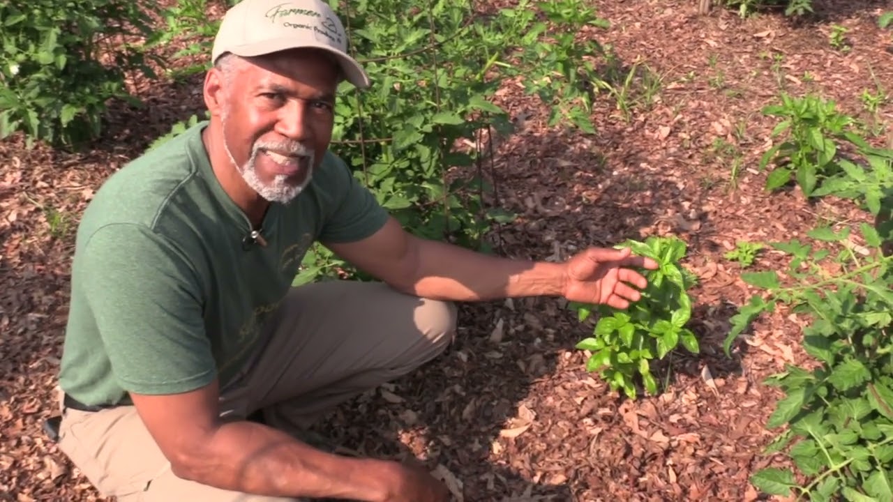 Virginia Outdoors Week 1