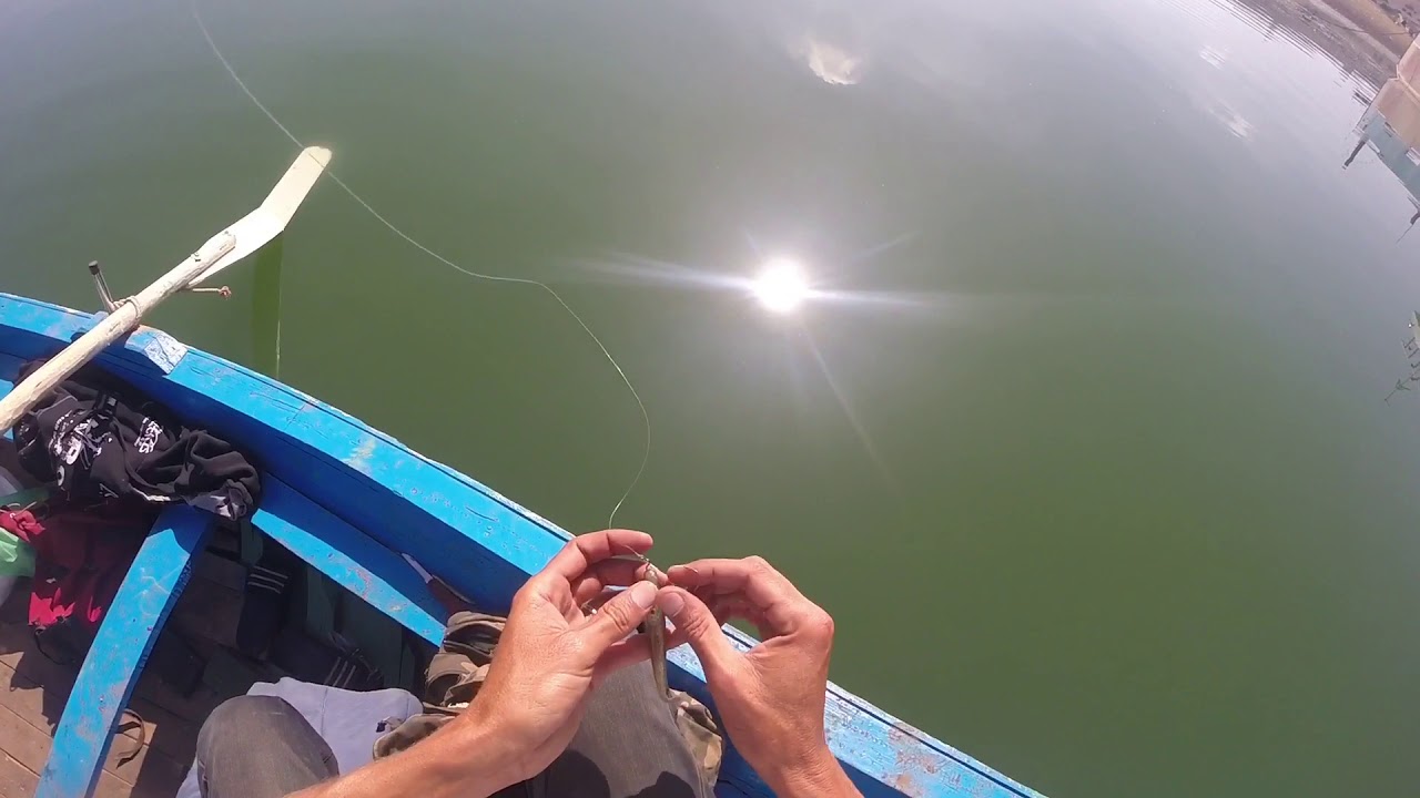 pesca al black bass in Marocco RA&rsquo;IS FISHING