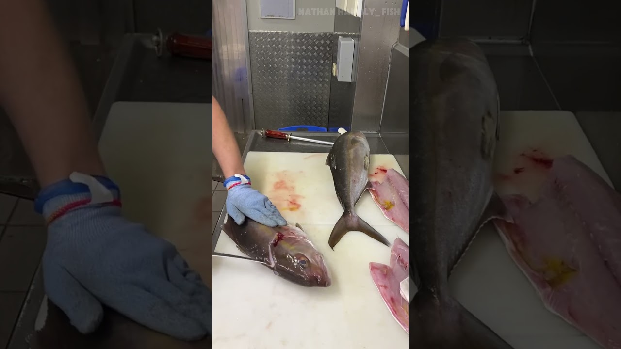 seriola dumerili  #snapper #filletingfish #fishcutting #fish #fishmarket  #shorts