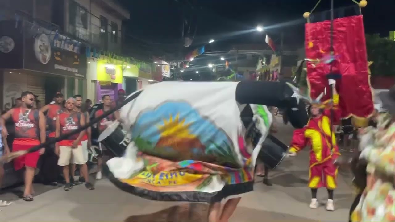 Boi teimoso na praça rodoviária em aliança-PE