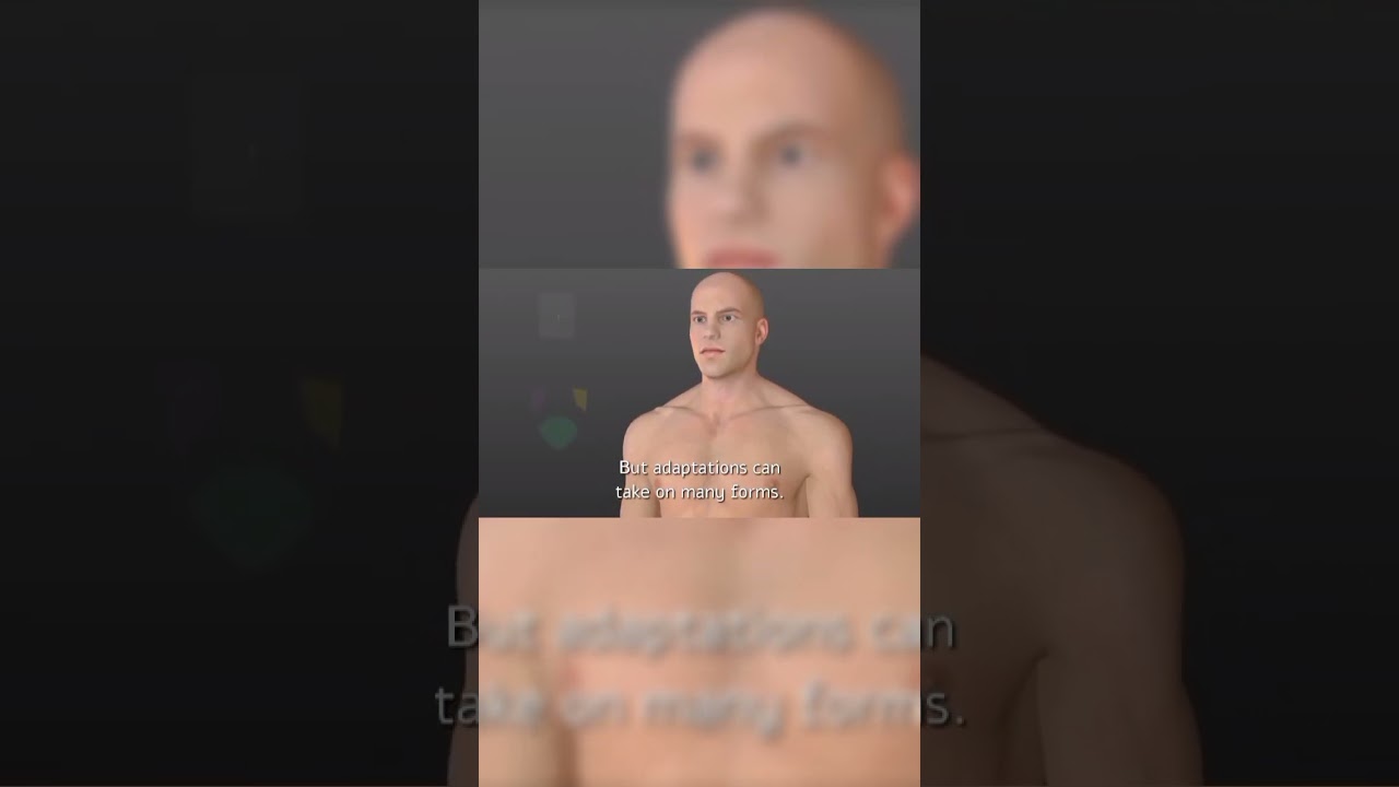 How dangerous are Thymine Dimers? (Really)