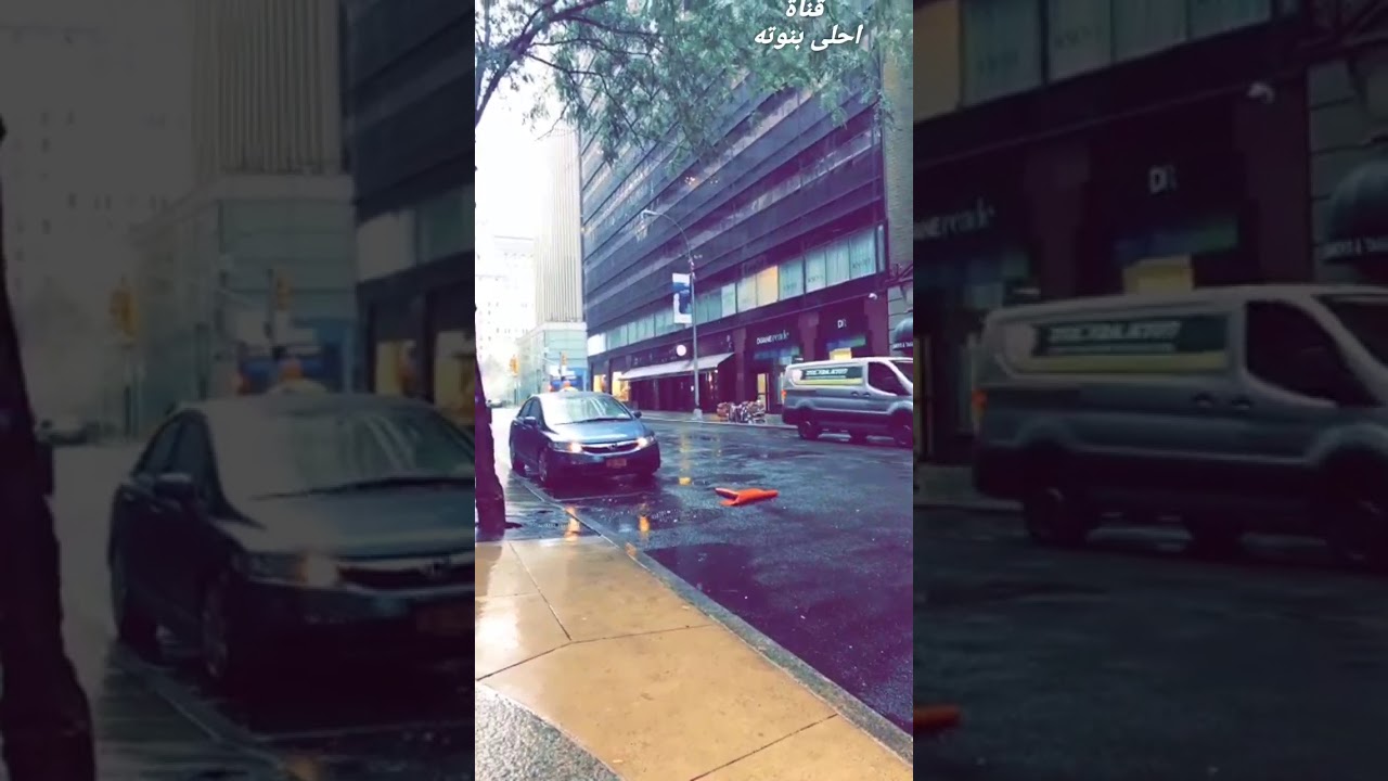 سنابات افنان الباتل في امريكا