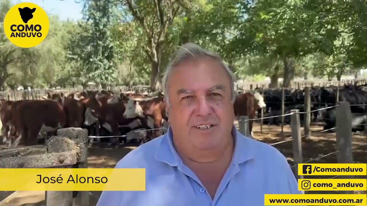 José Alonso; Martín y Alonso SRL. Laprida 11/2/26.