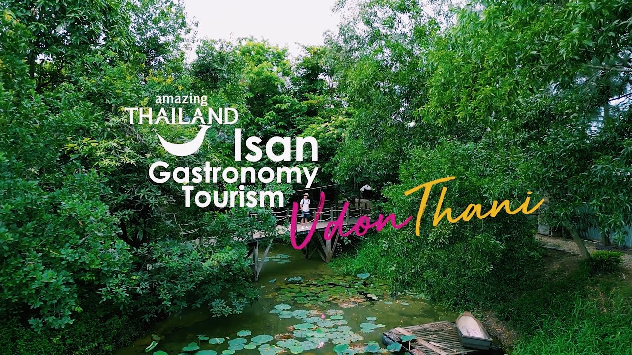 🇹🇭 UDON THANI - Thailand's Gastronomy City 😋 🥘🍲🥬 🍽️