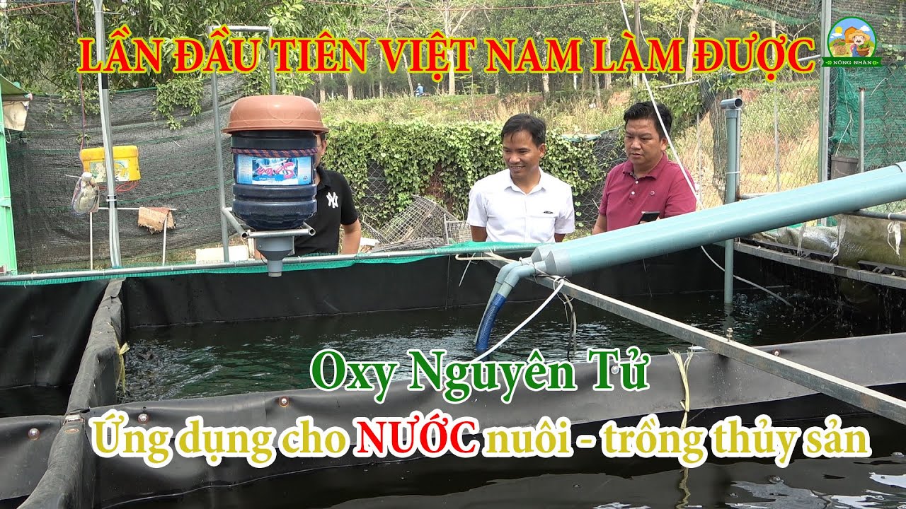 ỨNG DỤNG CỦA OXY NGUYÊN TỬ TRONG THỦY SẢN | ATOM OXY