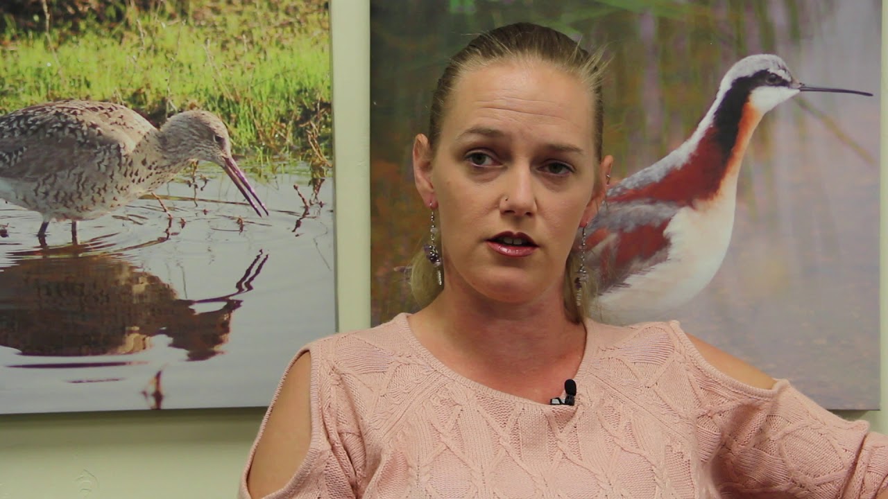 Wild Bird Rehabber