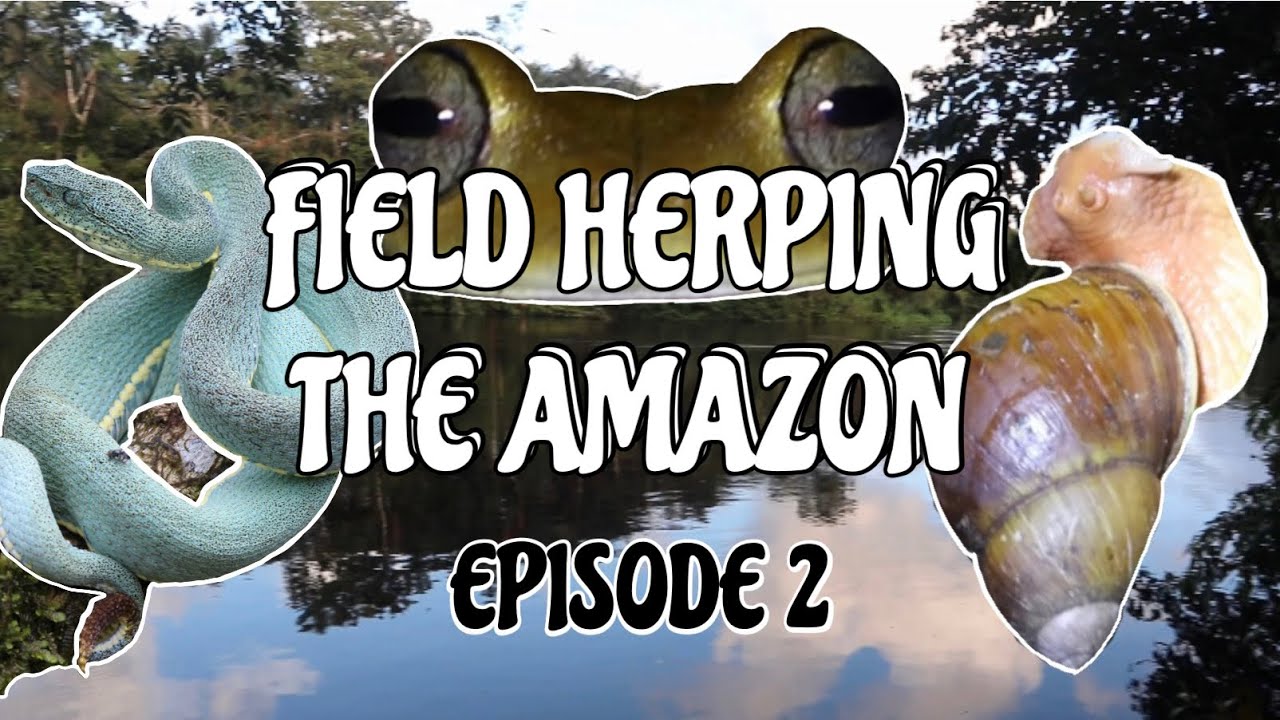 Field Herping the Ecuadorian Amazon Rainforest | Episode 2
