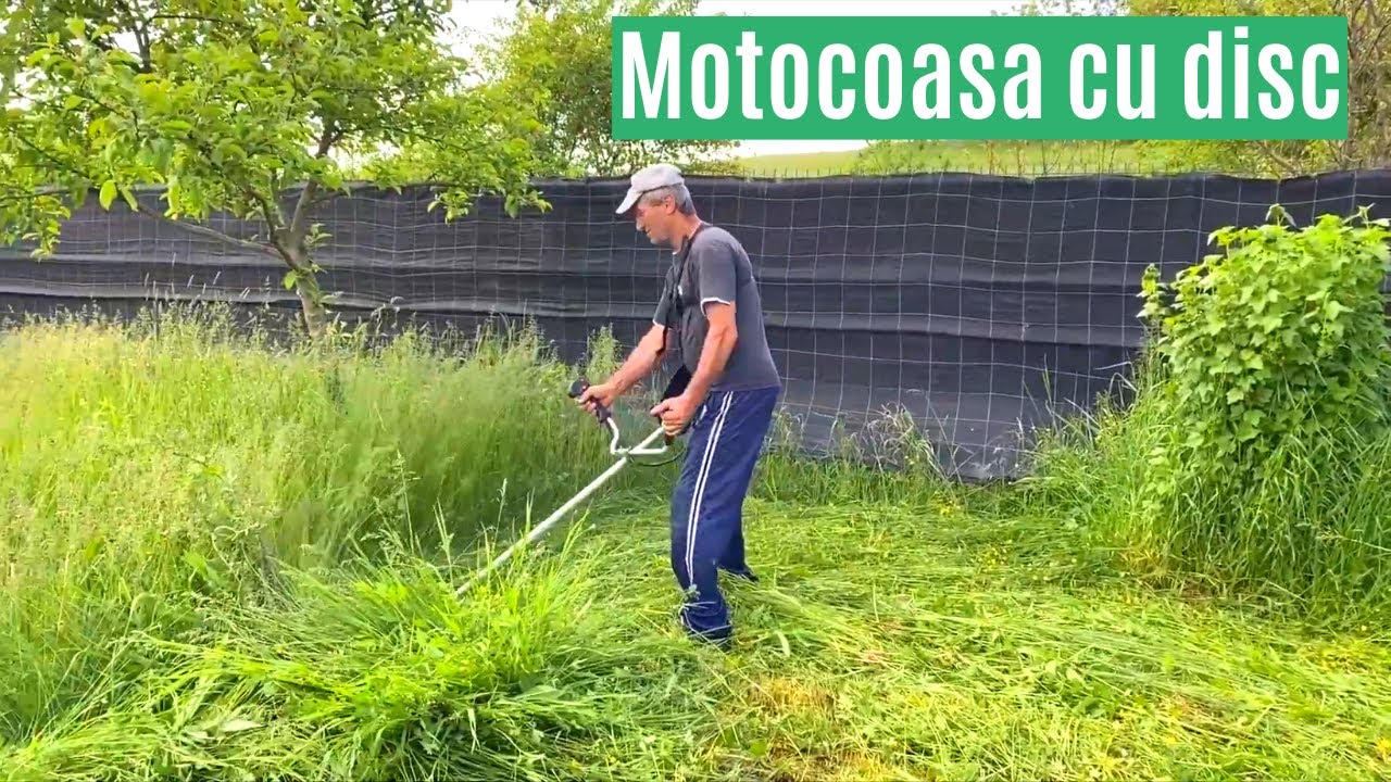 La cosit de iarba cu Pandora Brushcutters BC 430 N