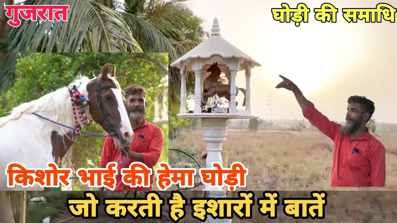 फुटपाथ पर सोने वाले किशोर भाई की बदल दी जिंदगी एक घोड़ी ने ( गुजरात )