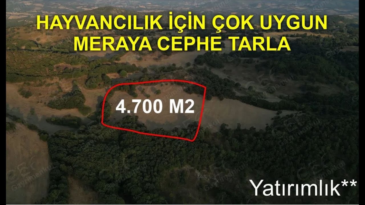 📌 4.700 m2 Meraya Cephe Hayvancılık İ&ccedil;in Uygun Yatırımlık TARLA -- 230.000 ₺ #g&ouml;nen #tarla #emlak