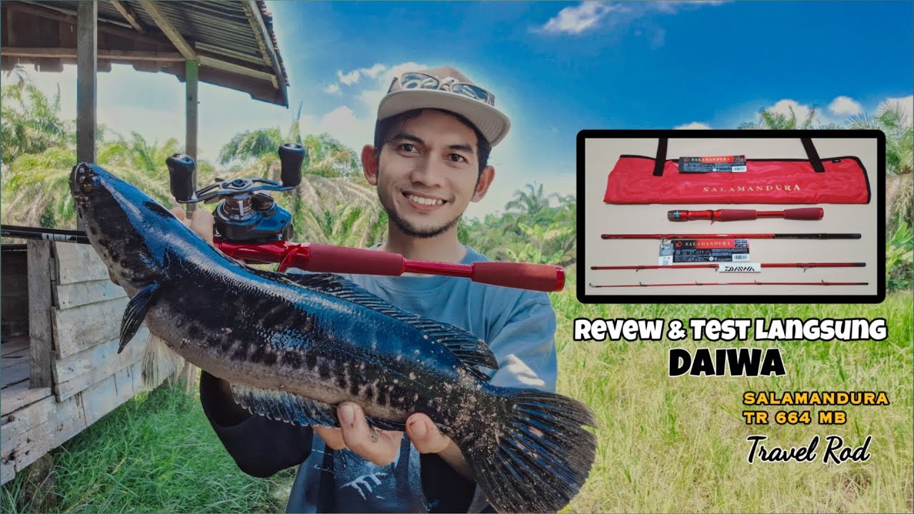 DAIWA SALAMANDURA TRAVEL ROD, REVEW DAN LANGSUNG TEST BUAT CASTING TOMAN