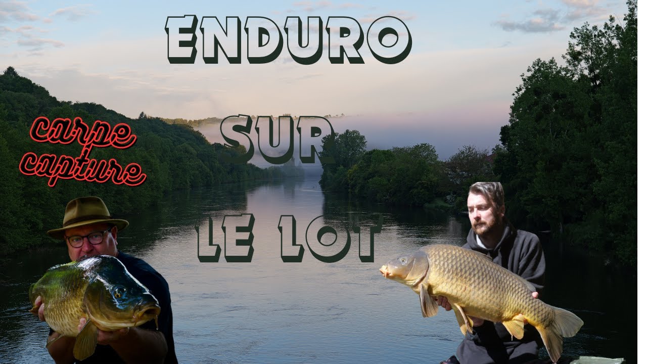 Enduro sur le lot #carpe #enduro #lot #lcatackle #hollandbaits #pêche #abonnetoi #rivière