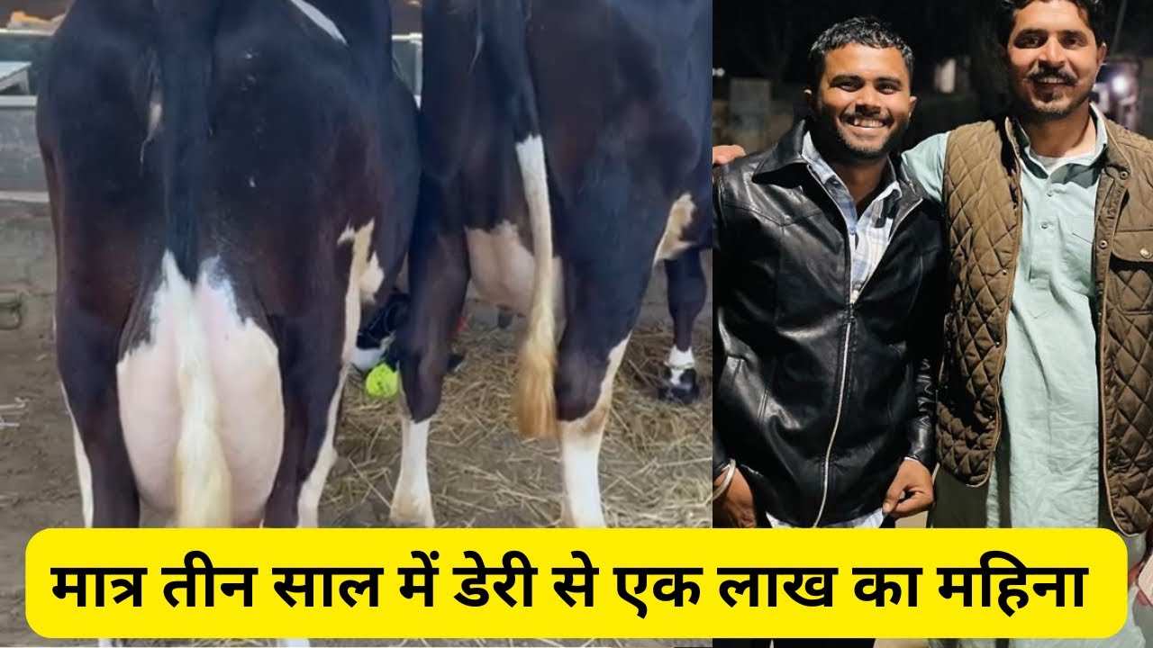 मात्र तीन साल में डेरी से एक लाख का महिना || One lakh rupees a month from dairy in just three years