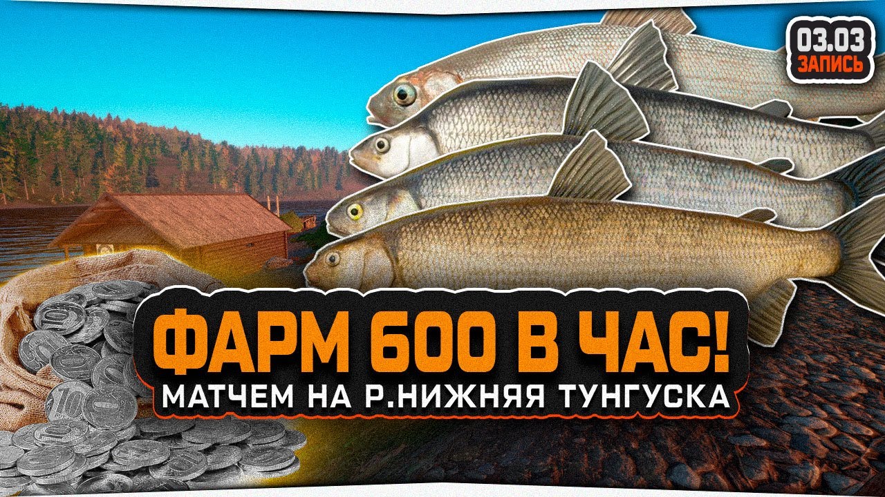 Фарм 600 монет в час Матчем на р. Нижняя Тунгуска • Русская Рыбалка 4