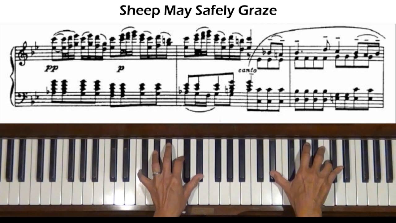 Bach Sheep May Safely Graze (arr.  Petri) Piano Tutorial
