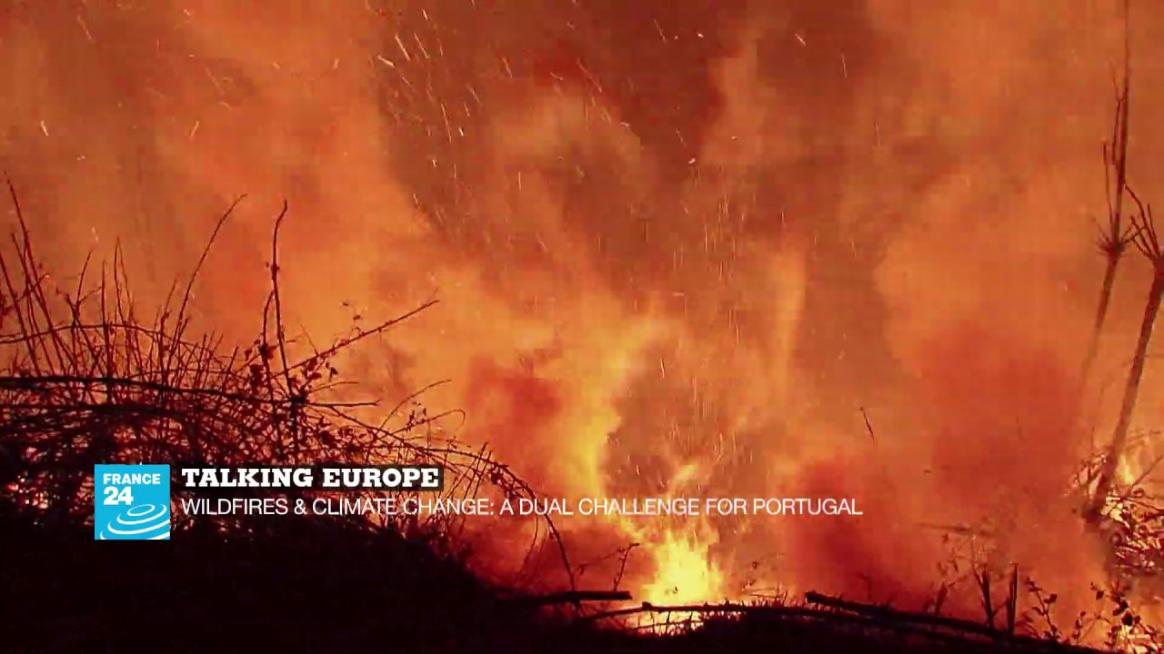 Talking Europe: wildfires & climate change, a dual challenge for Portugal