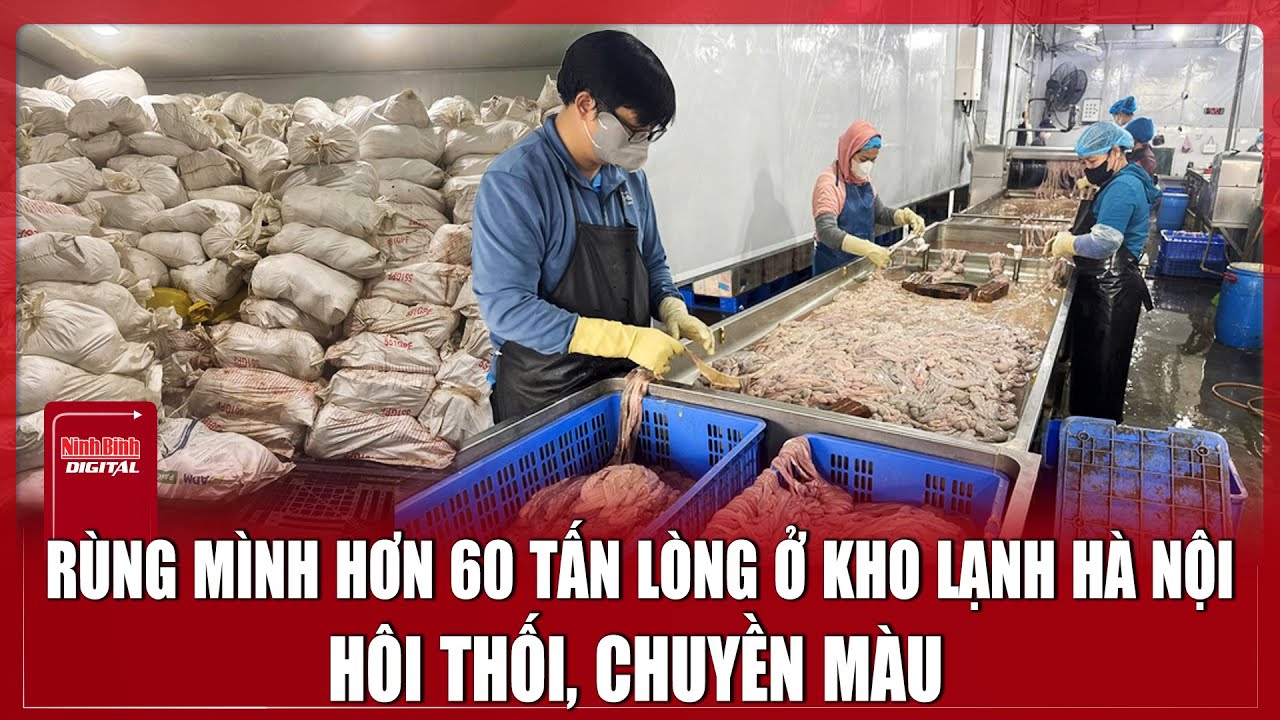 Cận cảnh kho lạnh ở Hà Nội trữ hơn 60 tấn lòng hôi thối, chuyển màu nằm trong kho