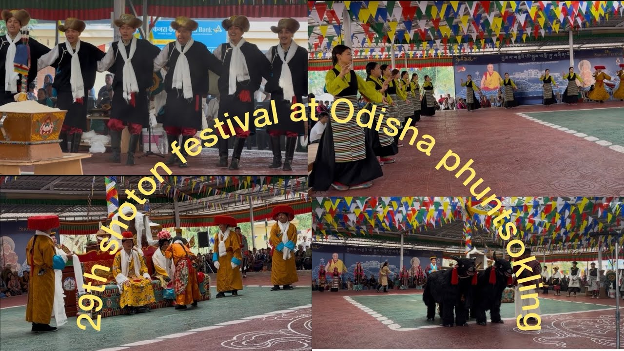 29th Shoton Festival||Odisha Phuntsokling||1st day of shoton||Tibetanvlogger