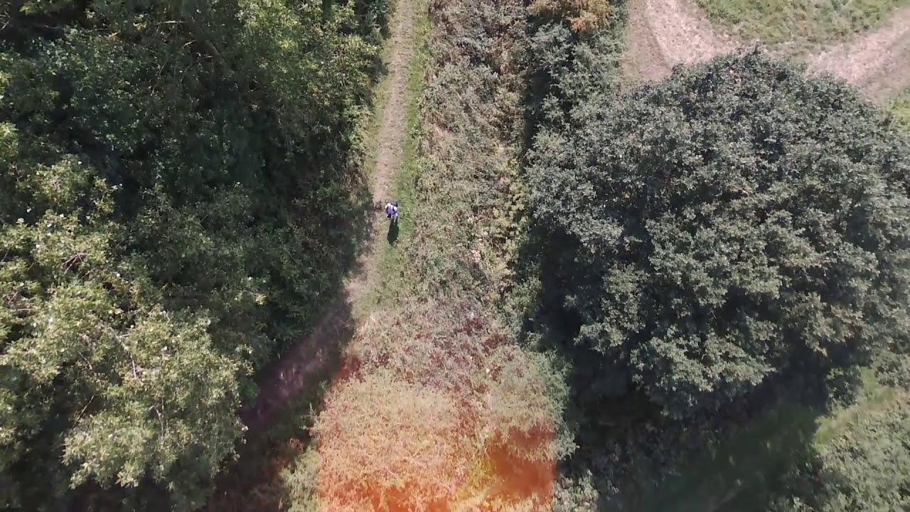Whisby Nature Park by Drone