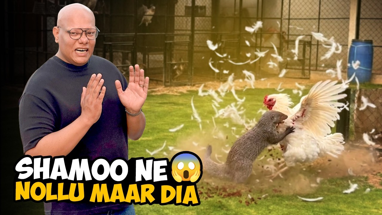 Shaamo Ne Nollu Ko Jaan Se Maar Diya 😱💔 | BT Farm Stories