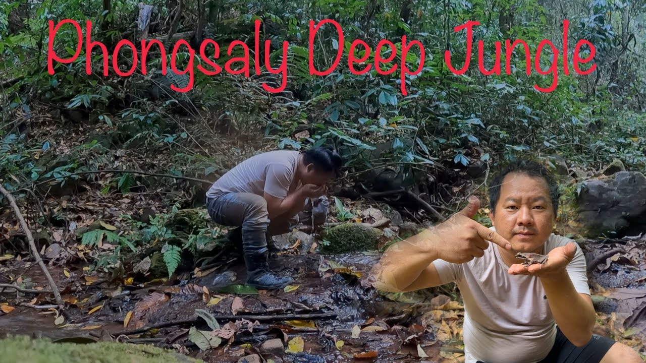 Hunting in Phongsaly's Jungle | Lao Jungle Secret