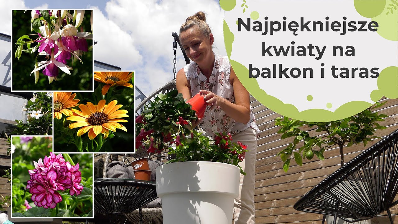 Najpiękniejsze kwiaty na balkony i tarasy