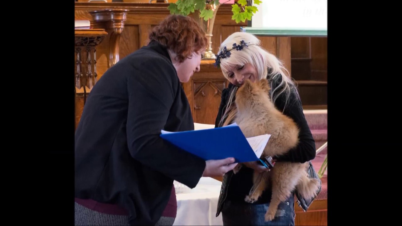 Blessing of The Animals