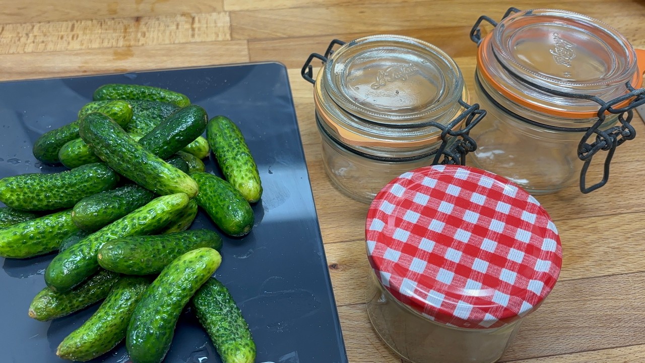 Gurken einlegen OHNE ZUCKER einkochen einmachen konservieren Schraubglas Cornichons selber machen