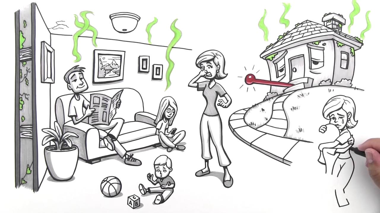 Is your home toxic? Test now with My Mold Detective