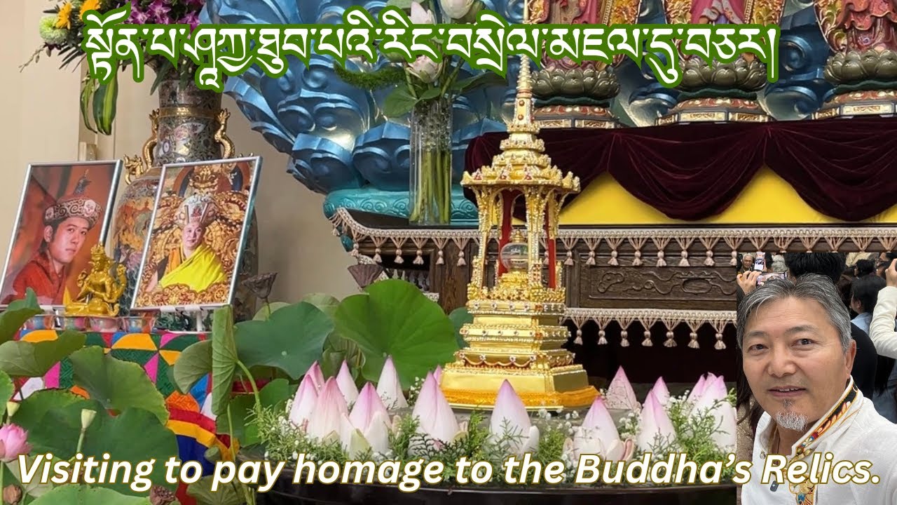 Visiting to pay homage to the Buddha's Relics | Tibetan Vlogger | Sydney