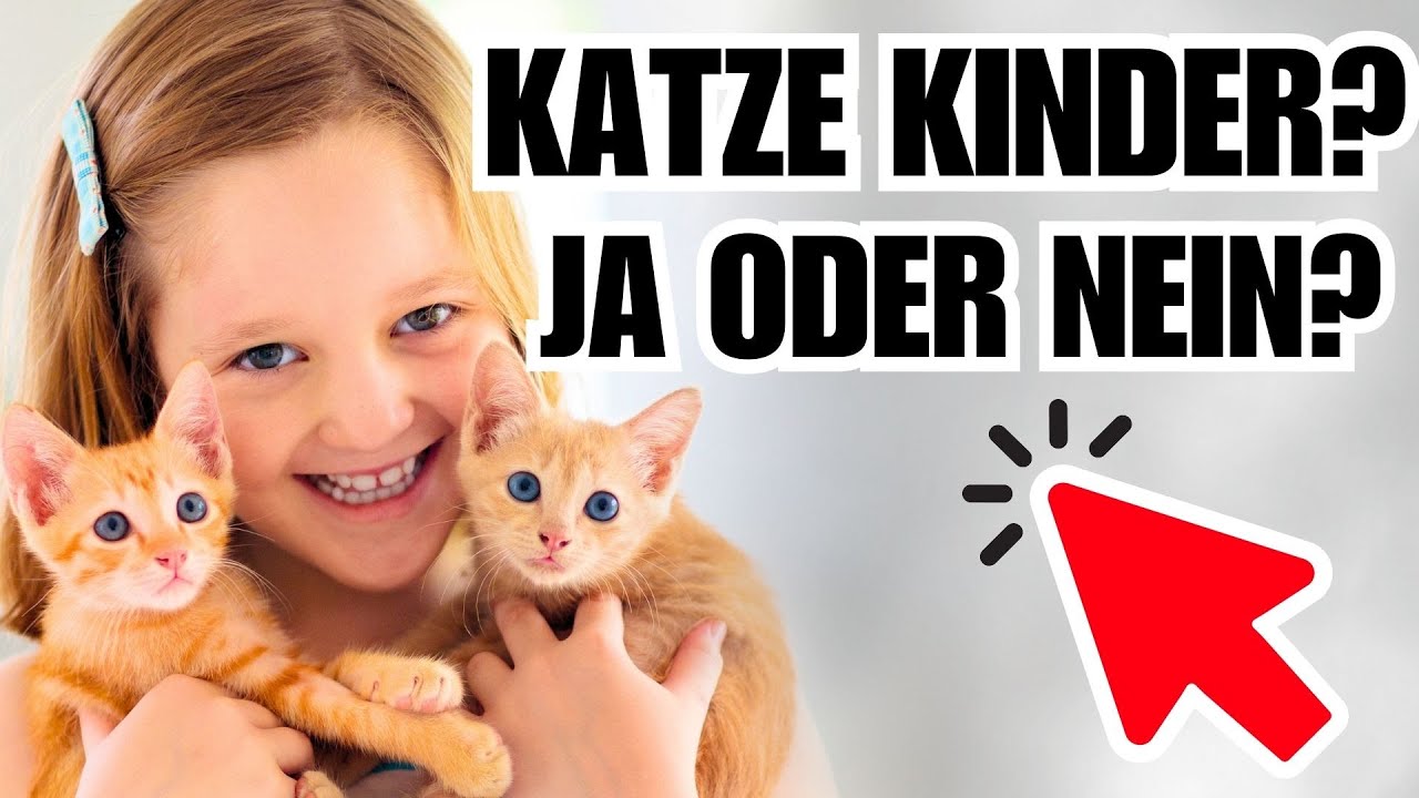 Sind Katzen f&uuml;r Kinder gef&auml;hrlich? 🐈 7 Fakten!