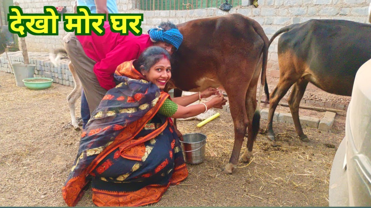 आज तो दूध दुहना पड़िस महंगा cg vlogs । cg lifestyle