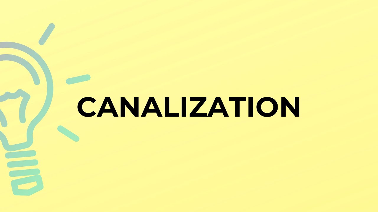 What is the meaning of the word CANALIZATION?