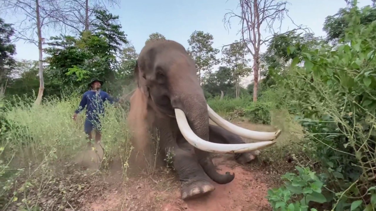 พลายหนุ่มเสกที่ว่าเเต่ เจอคนจริงถึงกลับนอนนิ่ง เป็นอะไร