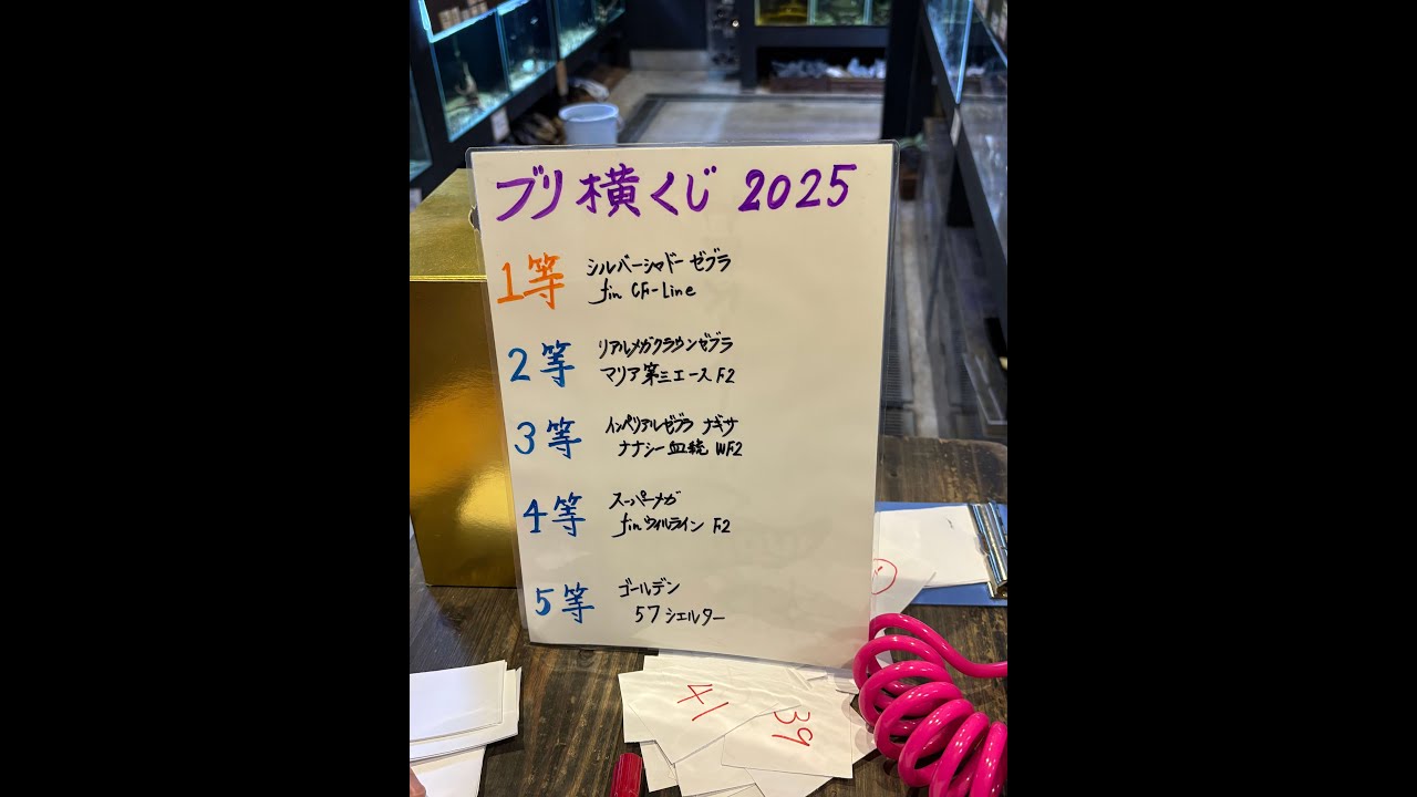 ブリ横くじ2025　抽選発表～