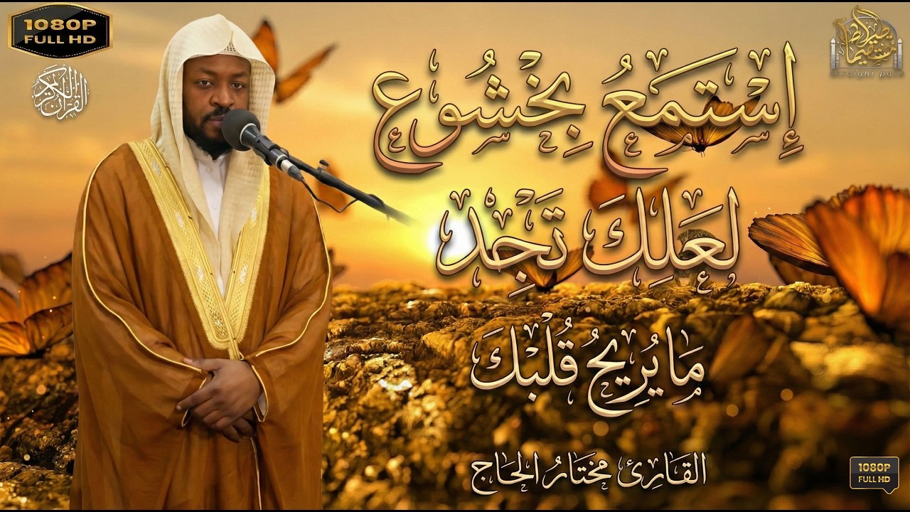 استمع بخشوع حتى تجد ما تريد ( تلاوات خاشعة )