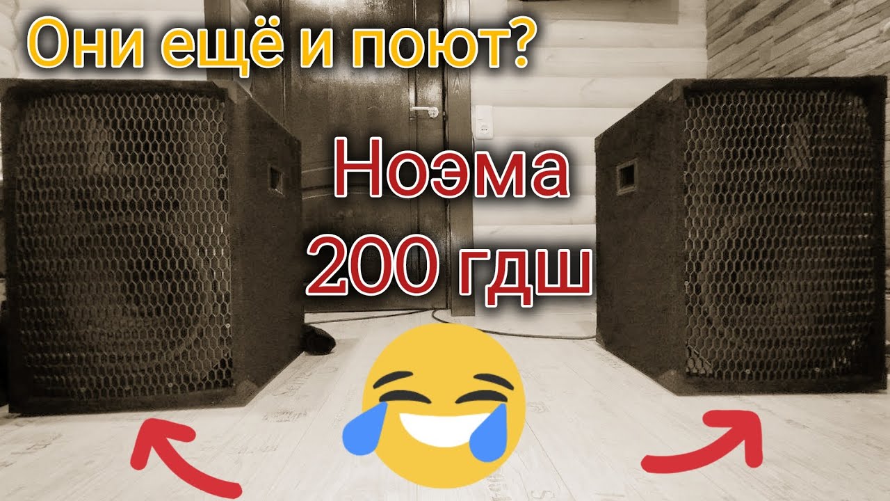 Ноэма 200 гдш. Самодельные акустические системы