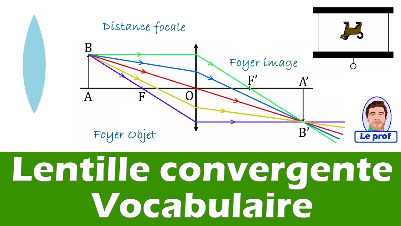Les lentilles convergentes : vocabulaire  de base de l'optique