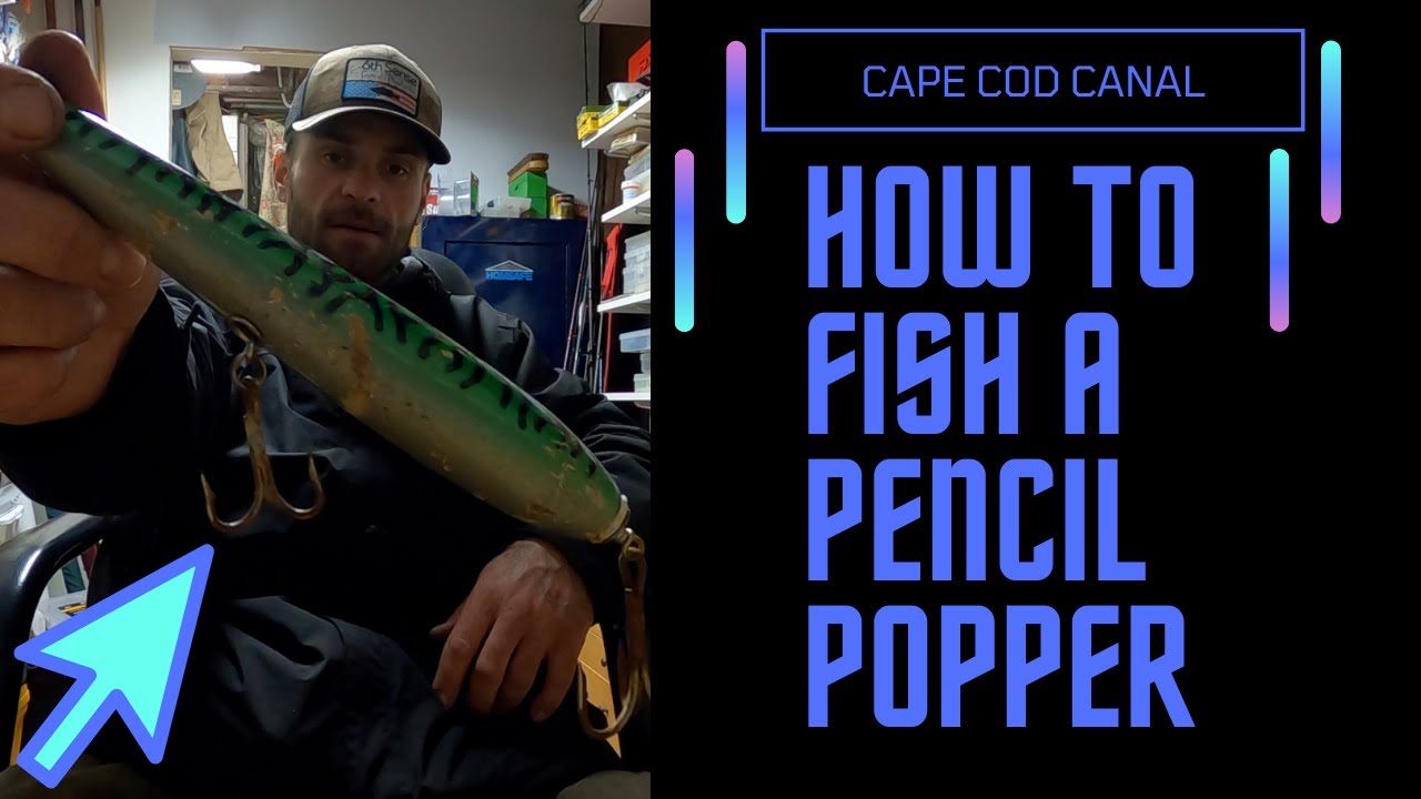 Cape Cod Canal: How to fish a PENCIL POPPER!!! Catching schoolie STRIPED BASS!!!